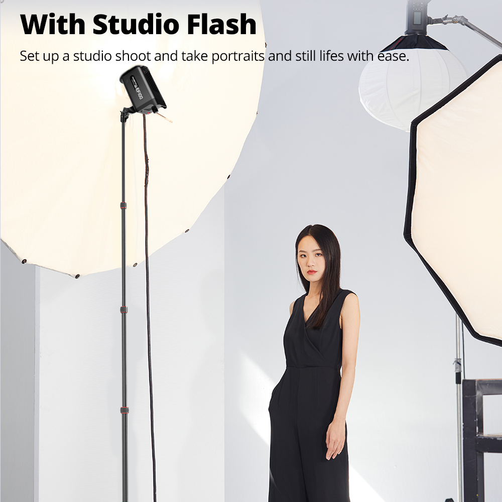 Ambitful GM220 Photographic Li - Photography Basics 评论和价格