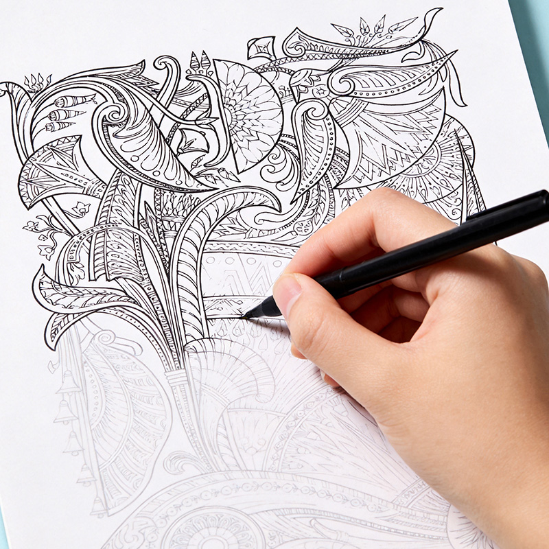 A Hand Drawn Coloring Book for - Photography Book 评论和价格