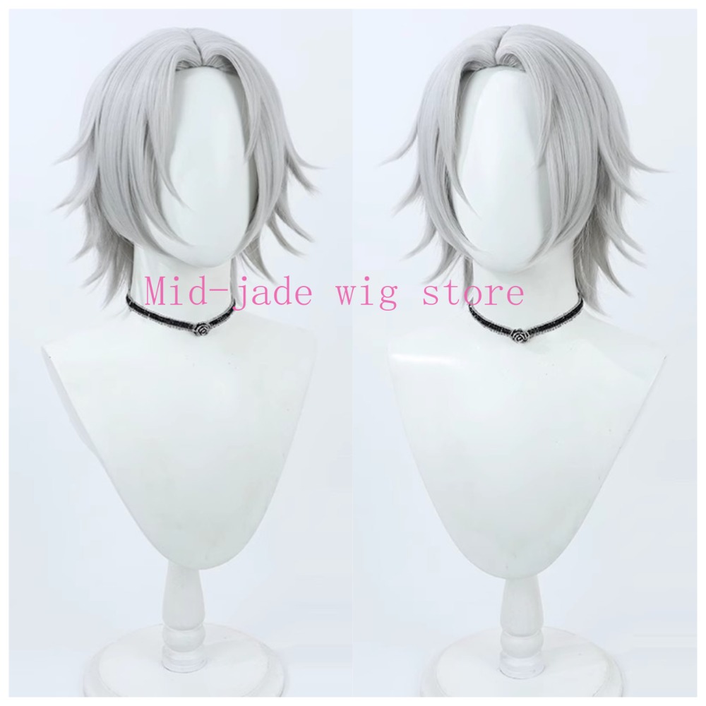 Hayato Gokudera Cosplay Wig Si - Photography Japanese 评论和价格