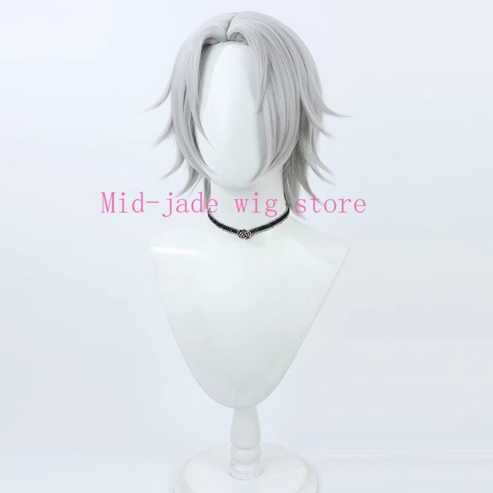 Hayato Gokudera Cosplay Wig Si - Photography Japanese 评论和价格
